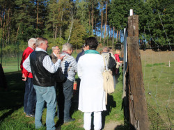 czlopa2015 7
