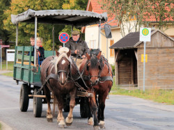IMG 8261