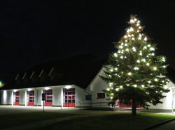 Tannenbaum 3