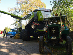 erntedank 2019 06