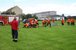 ff 2010 25