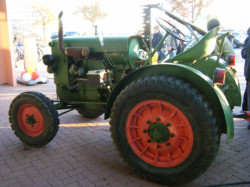 dm 01