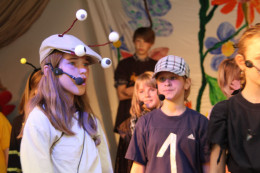 musical 6