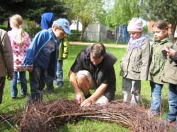 storchennest 10