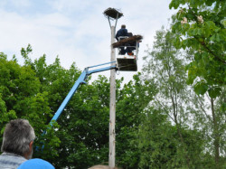 storchennest 3