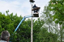 storchennest 3