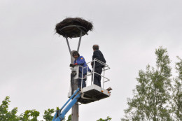 storchennest 4