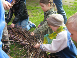 storchennest 7