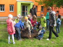 storchennest 8