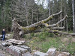 Munkedal2014 13
