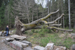Munkedal2014 13