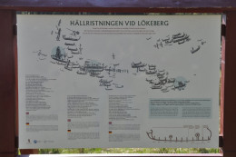 Munkedal2014 19
