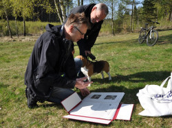 Munkedal2014 22