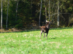 Munkedal2014 25
