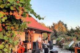 musiksommer