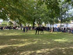 herbstfest023