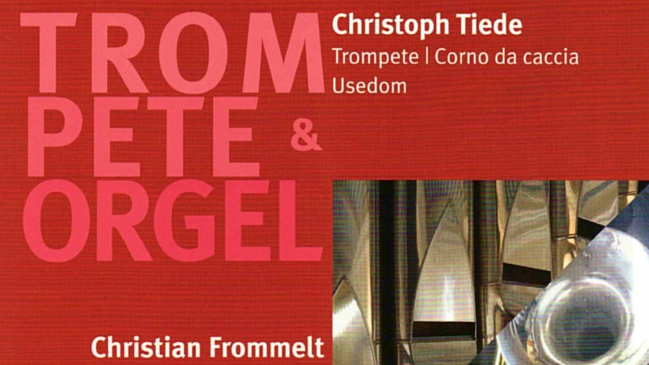 Kirche Gristow Orgel