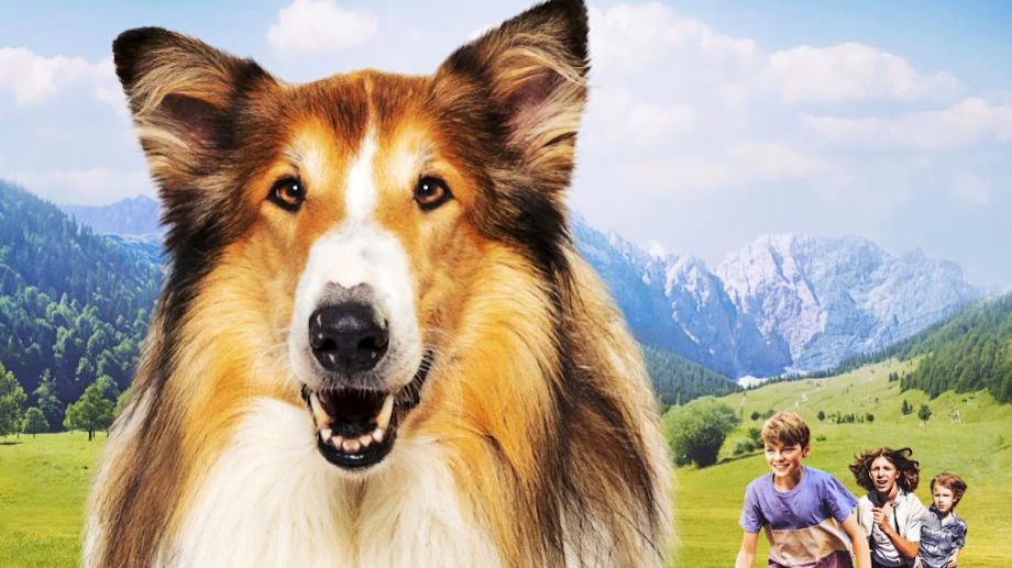 Lassie – ein neues Abenteuer